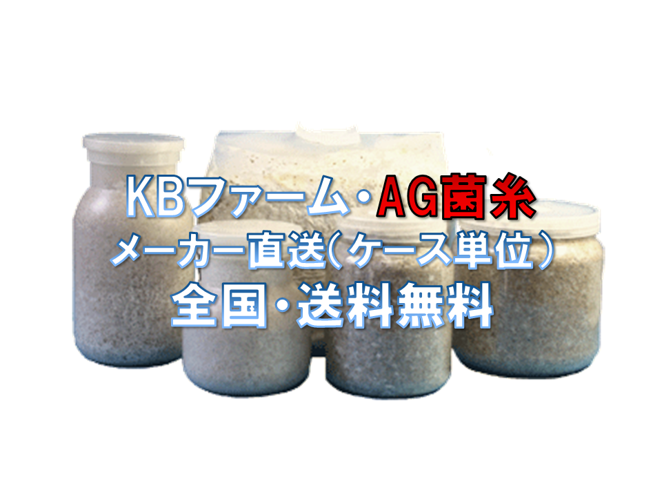 KBファーム・AG菌糸 | D.D.A ism