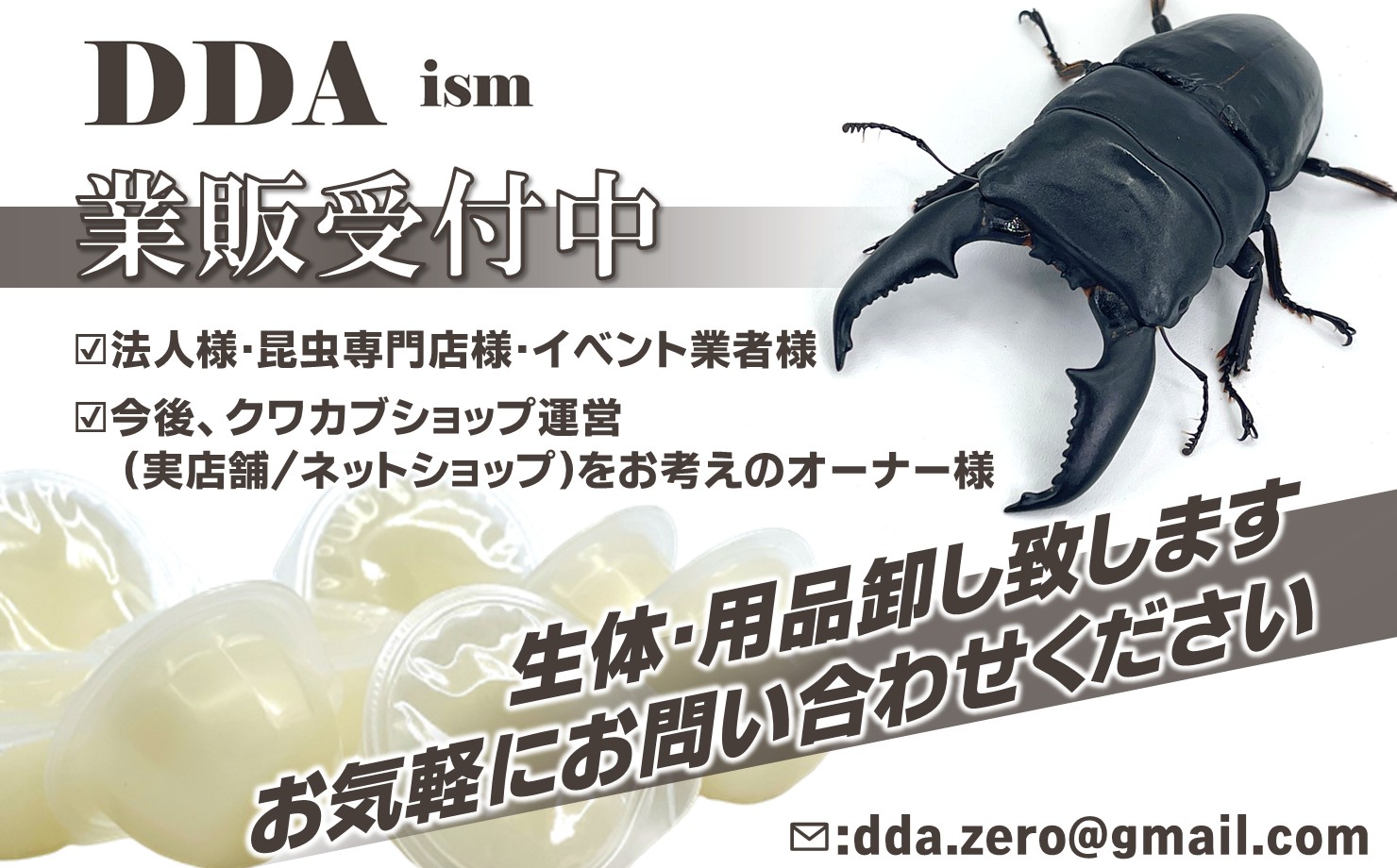 イベント業者様・専門店様・プロブリーダー様歓迎! | D.D.A ism イベント業者様・専門店様・プロブリーダー様歓迎! | D.D.A ism