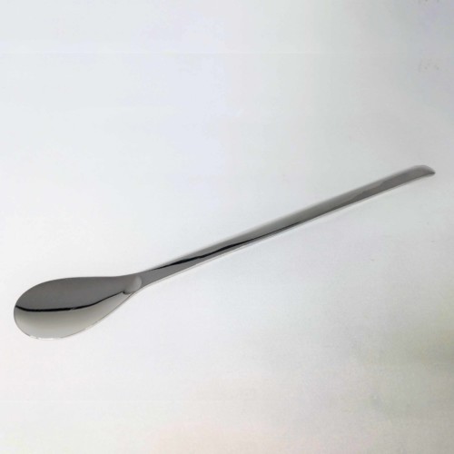 beetle_spoon
