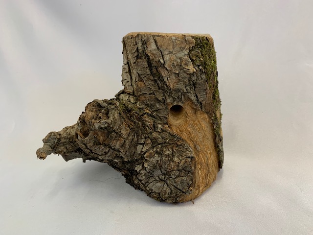 c-wood-L-8051459