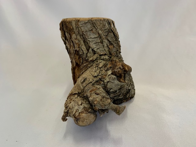 c-wood-L-8051459