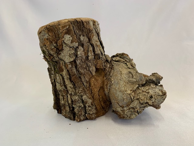 c-wood-L-8051459