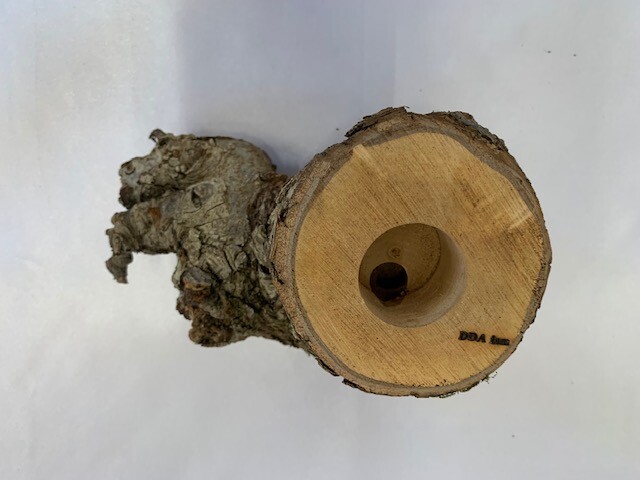c-wood-L-8051459