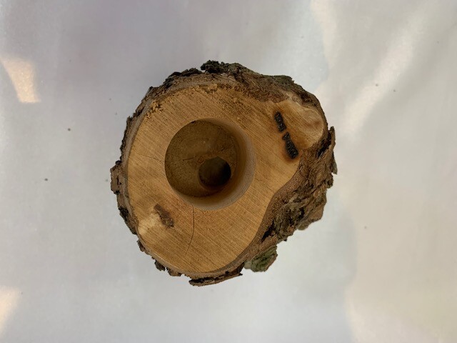 c-wood-m 10051402