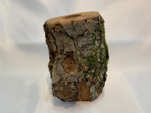 c-wood-L-10051553