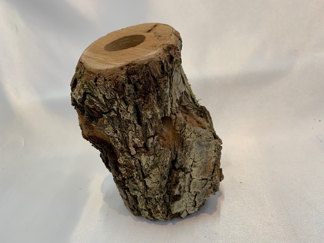 c-wood-L-10051553