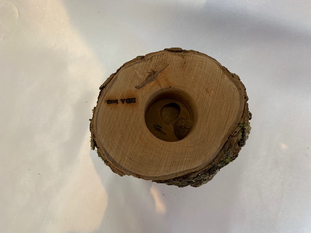 c-wood-L-10051553