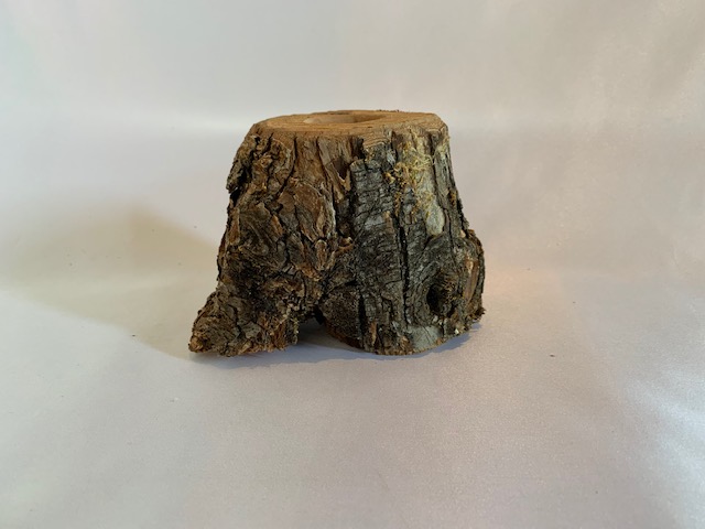 c-wood-m 10281032