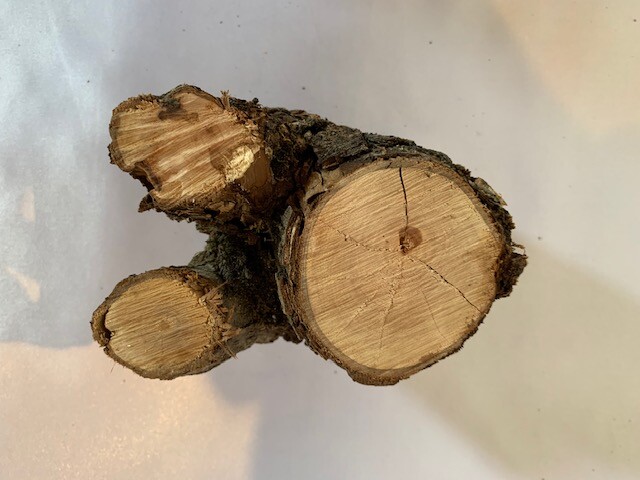 c-wood-m 10281032