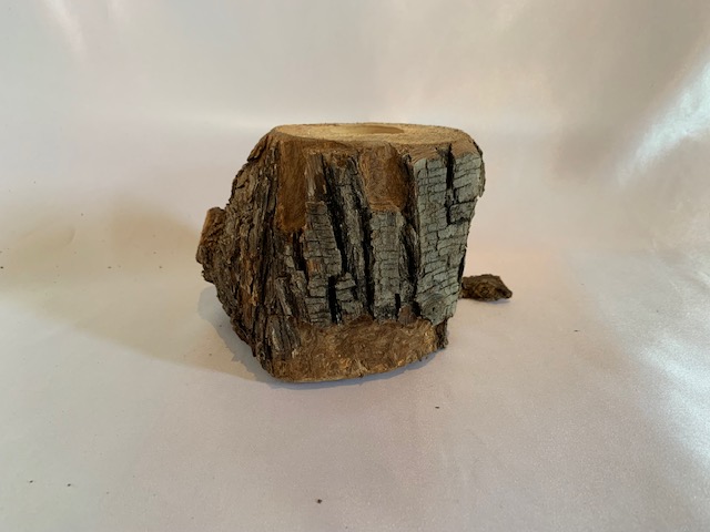 c-wood-m 10281043