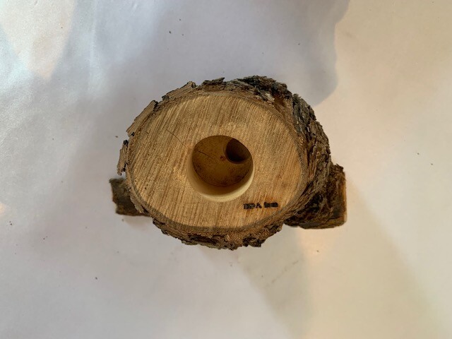 c-wood-m 10281043