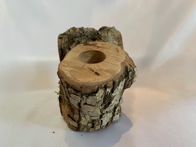 c-wood-L-10281140