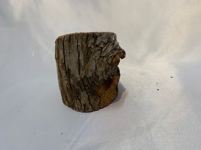 c-wood-m 12181501
