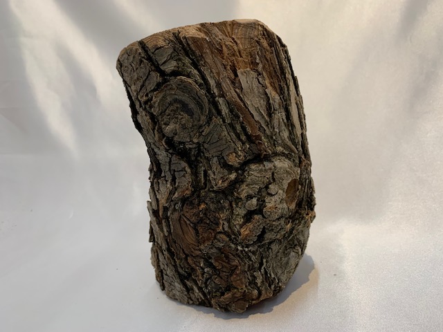 c-wood-L-12181553