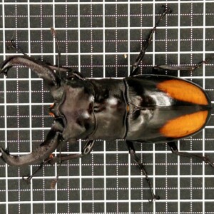 04f86ea9c104d100d663feb8a9a657