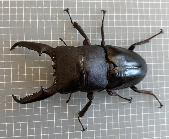 pa2001312203ma