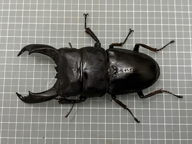 kt2510021823