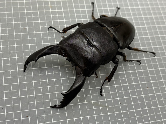 kt2510021823