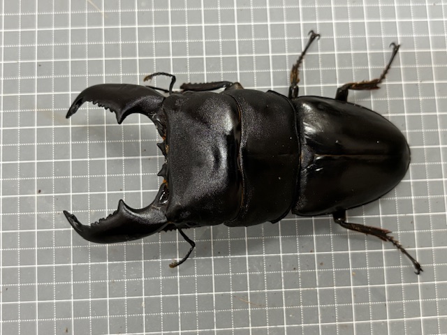ul2510041853