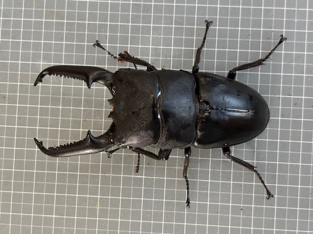 kunip2510061724