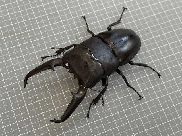 kunip2510061724