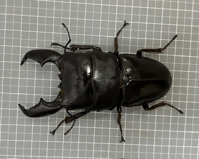 ul2510131847