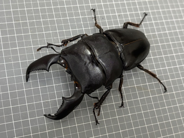 ul2510131847