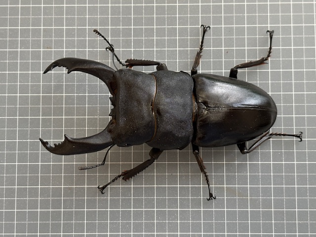 kt2510171644