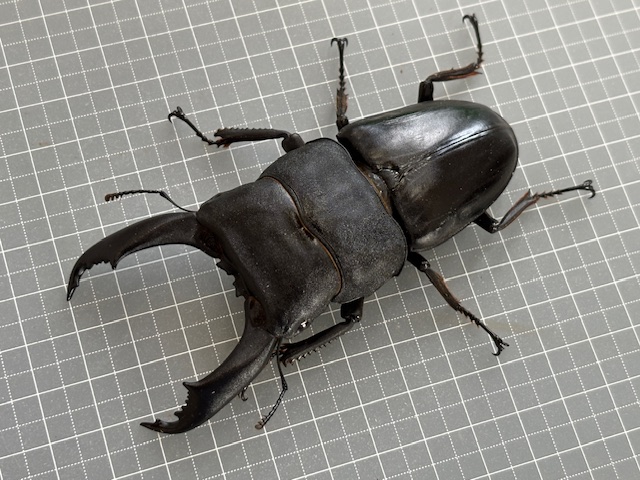 kt2510171644
