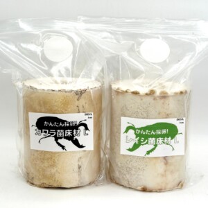 タランドゥス1♀54個採卵! カワラ菌床材L/レイシ菌床材L