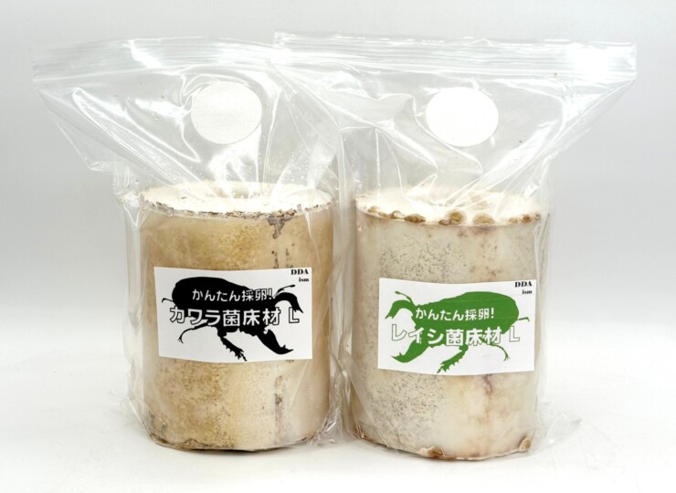 タランドゥス1♀54個採卵! カワラ菌床材L/レイシ菌床材L