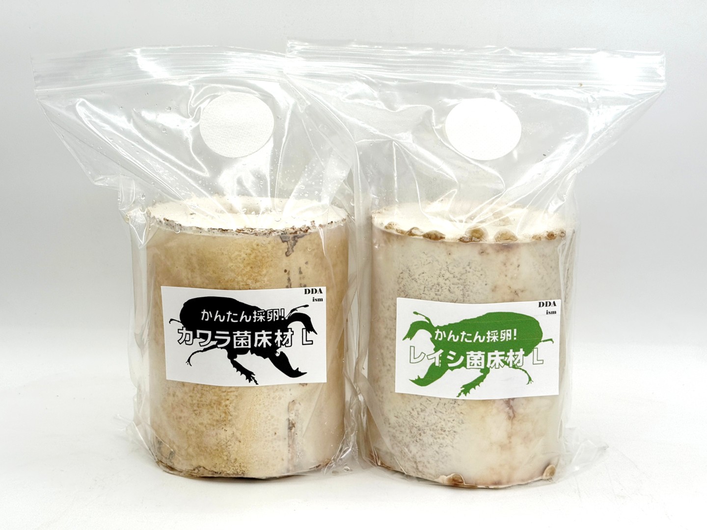 タランドゥス1♀54個採卵! カワラ菌床材L/レイシ菌床材L