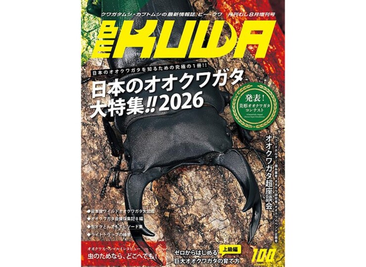 be-kuwaa100