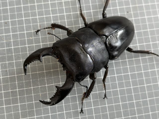 ma2607191622