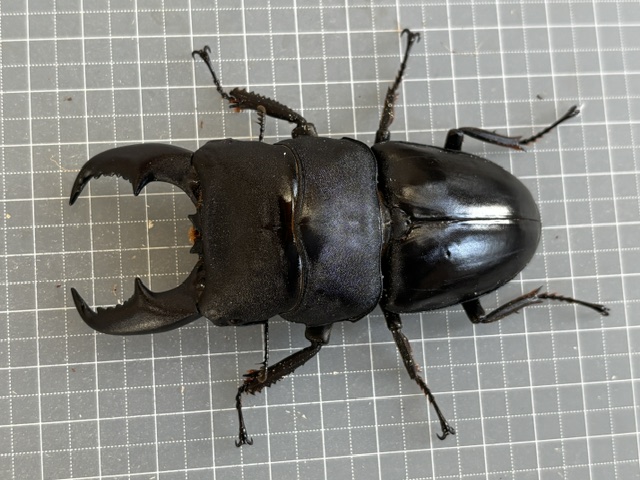 ma260707191639