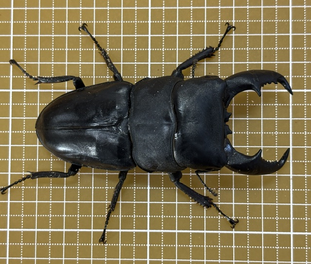 ma2609041745