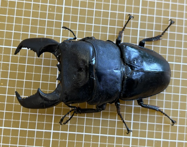 ul2610061627