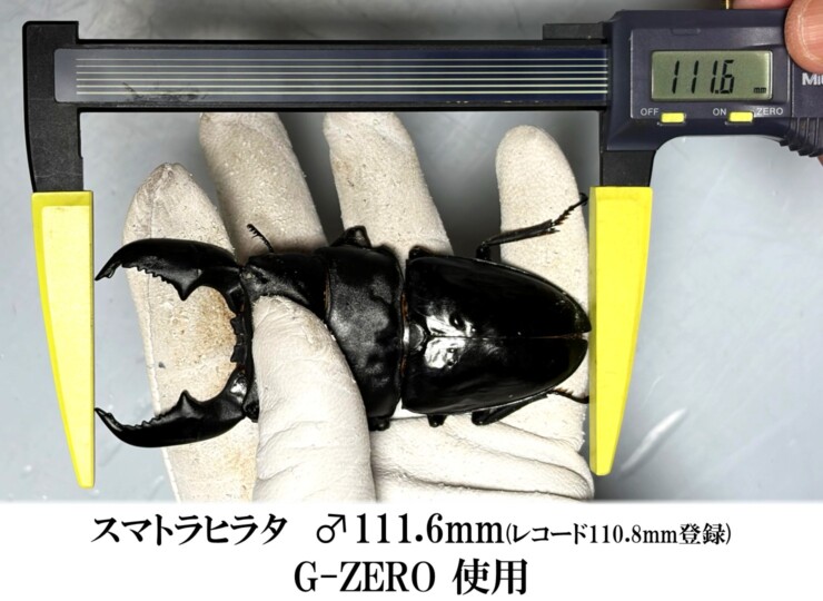 G2300